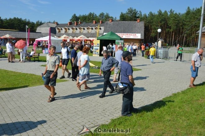 Miodobranie Kurpiowskie 2016 [28.08.2016] - zdjęcie #84 - eOstroleka.pl