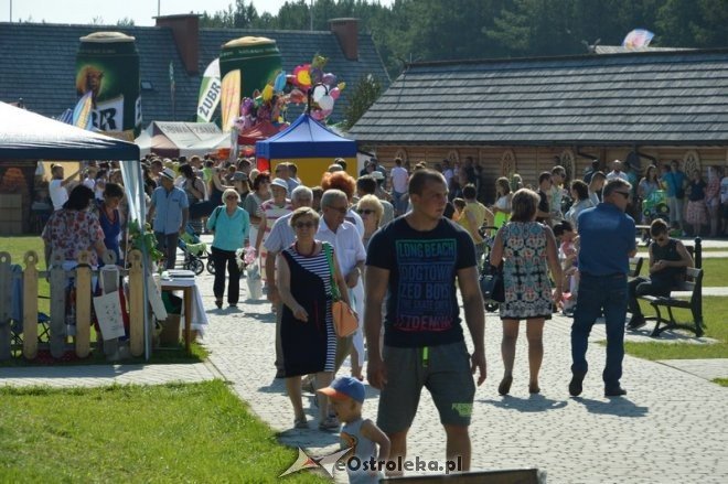 Miodobranie Kurpiowskie 2016 [28.08.2016] - zdjęcie #78 - eOstroleka.pl