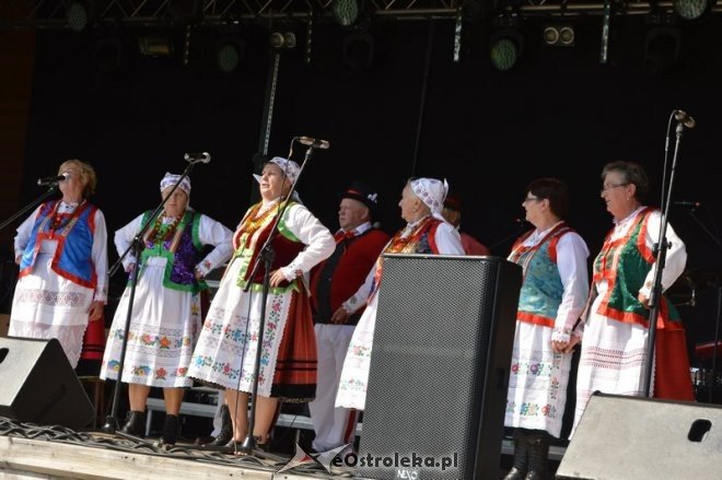 Miodobranie Kurpiowskie 2016 [28.08.2016] - zdjęcie #74 - eOstroleka.pl