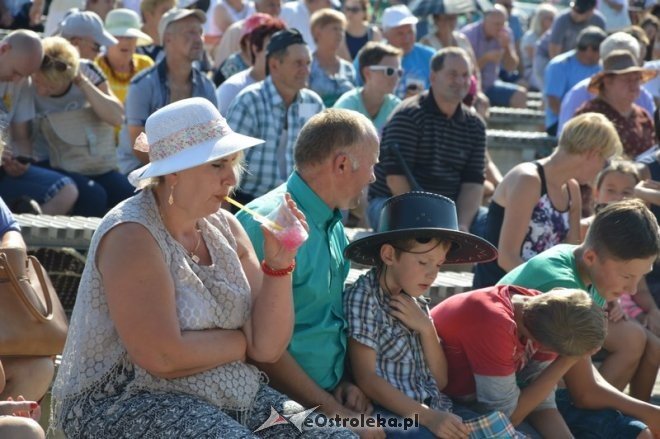 Miodobranie Kurpiowskie 2016 [28.08.2016] - zdjęcie #68 - eOstroleka.pl
