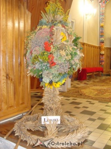 Uroczystości dożynkowe w Lipnikach [04.09.2016] - zdjęcie #4 - eOstroleka.pl