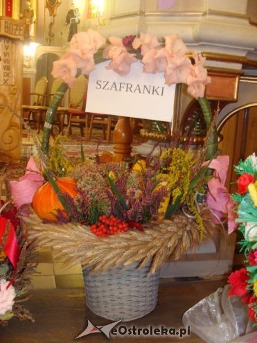 Uroczystości dożynkowe w Lipnikach [04.09.2016] - zdjęcie #3 - eOstroleka.pl