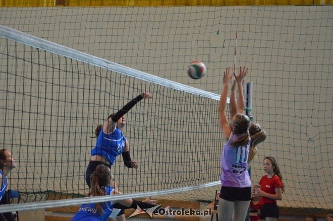 Międzynarodowy turniej kadetek w Ostrołęka - dzień pierwszy [10.09.2016] - zdjęcie #32 - eOstroleka.pl