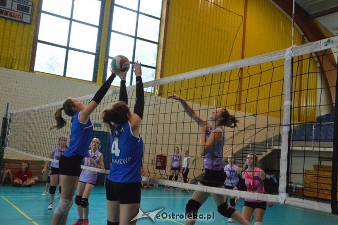 Międzynarodowy turniej kadetek w Ostrołęka - dzień pierwszy [10.09.2016] - zdjęcie #28 - eOstroleka.pl