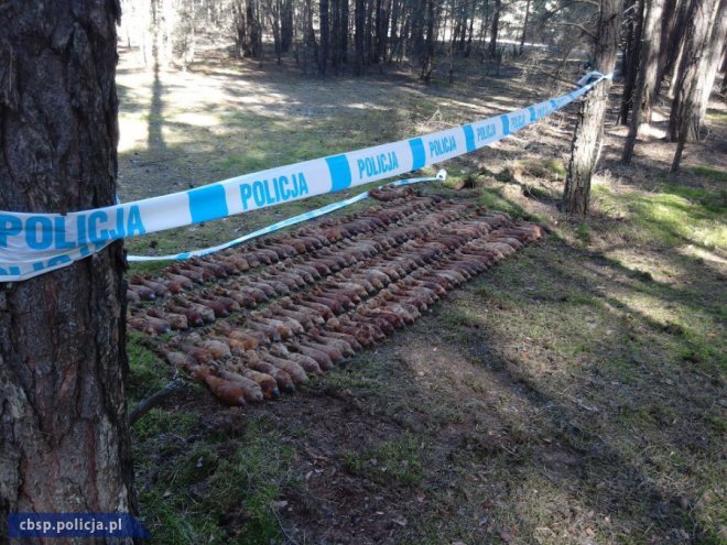 Ponad 400 niewybuchów wykopano w lesie pod Różanem [WIDEO, ZDJĘCIA] - zdjęcie #3 - eOstroleka.pl