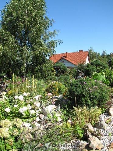 Właściciele najładniejszych posesji z Rzekunia nagrodzeni [ZDJĘCIA] - zdjęcie #33 - eOstroleka.pl