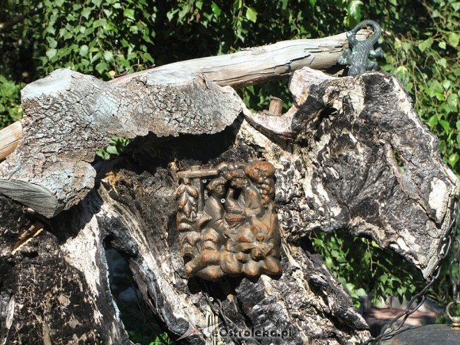 Właściciele najładniejszych posesji z Rzekunia nagrodzeni [ZDJĘCIA] - zdjęcie #31 - eOstroleka.pl