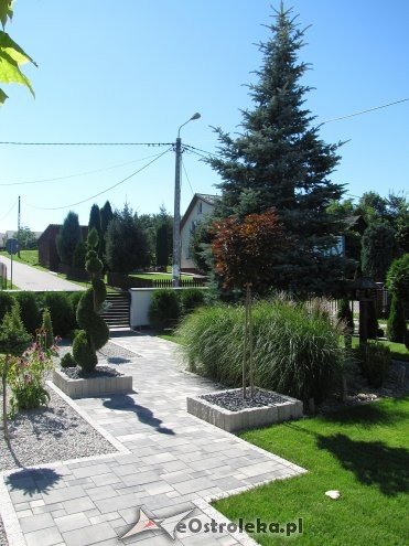 Właściciele najładniejszych posesji z Rzekunia nagrodzeni [ZDJĘCIA] - zdjęcie #19 - eOstroleka.pl