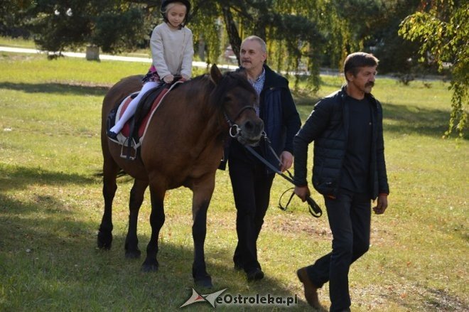 Piknik rodzinny przy parafii Zbawiciela Świata [25.09.2016] - zdjęcie #3 - eOstroleka.pl