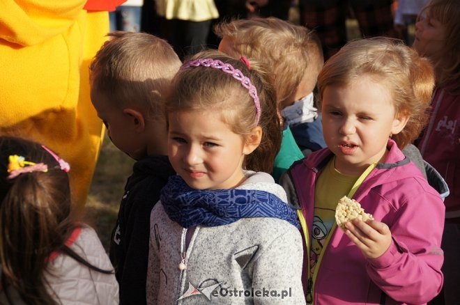 Piknik integracyjny w Krainie Misiów [29.09.201] - zdjęcie #13 - eOstroleka.pl