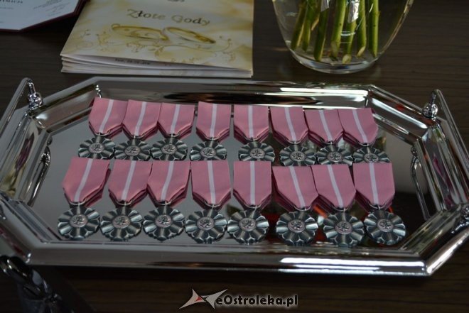 Złote Gody mieszkańców gminy Łyse [ZDJĘCIA] - zdjęcie #49 - eOstroleka.pl