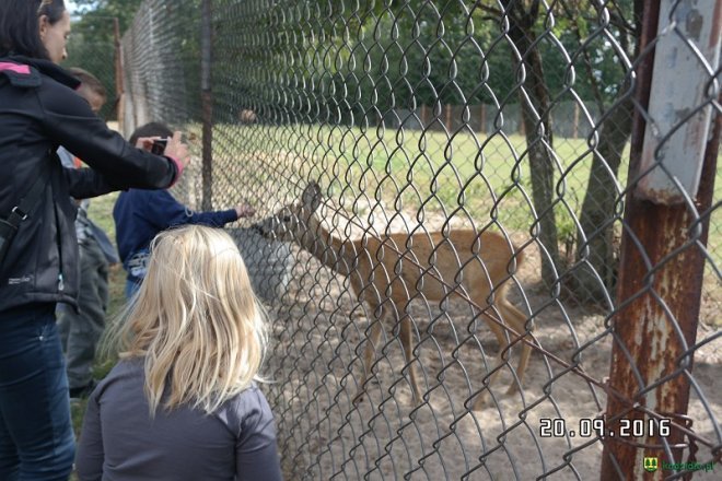 Uczniowie z Gleby na wycieczce w mini zoo [ZDJĘCIA] - zdjęcie #11 - eOstroleka.pl