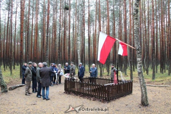 Wyjazdowe posiedzenie komisji kultury w ostrołęckim Nadleśnictwie [06.10.2016] - zdjęcie #17 - eOstroleka.pl