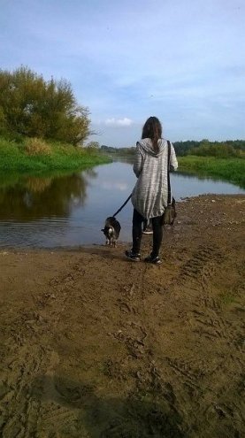 Uczniowie I LO pobiegli na „sześć łap” [ZDJĘCIA] - zdjęcie #10 - eOstroleka.pl