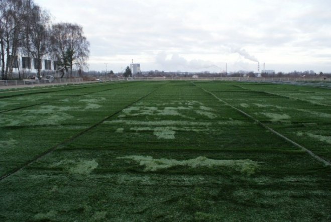 Budowa boiska na ul. Witosa (08.12.09) - zdjęcie #9 - eOstroleka.pl