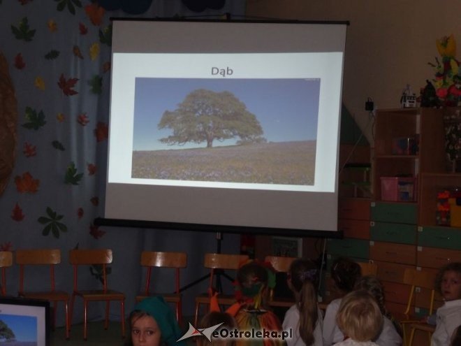Święto Drzewa w Przedszkolu Miejskim nr 17 Kraina Misiów [ZDJĘCIA] - zdjęcie #12 - eOstroleka.pl