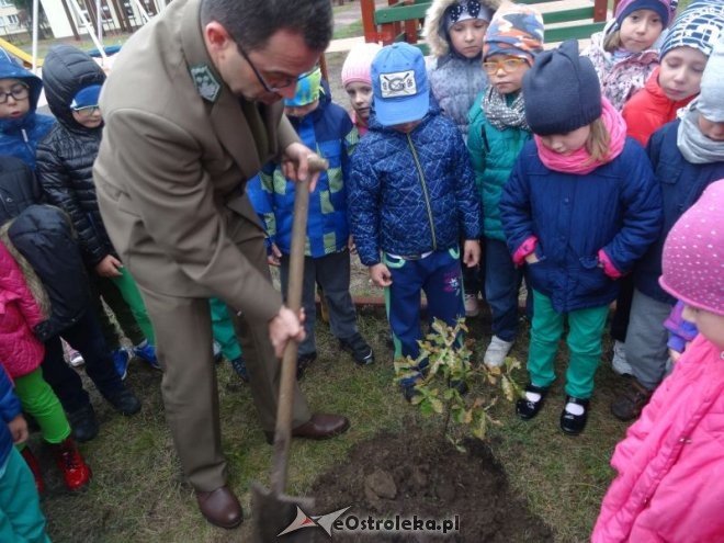 Święto Drzewa w Przedszkolu Miejskim nr 17 Kraina Misiów [ZDJĘCIA] - zdjęcie #14 - eOstroleka.pl