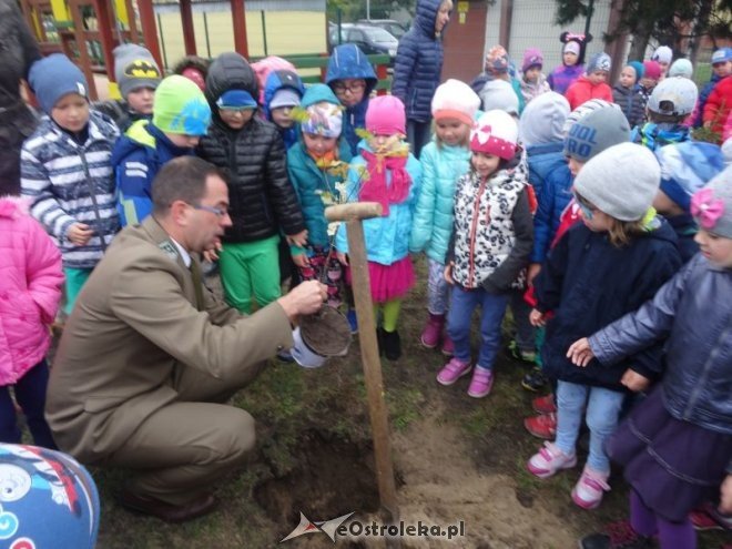 Święto Drzewa w Przedszkolu Miejskim nr 17 Kraina Misiów [ZDJĘCIA] - zdjęcie #15 - eOstroleka.pl