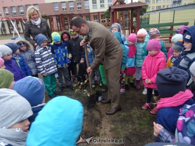 Święto Drzewa w Przedszkolu Miejskim nr 17 Kraina Misiów [ZDJĘCIA] - zdjęcie #16 - eOstroleka.pl