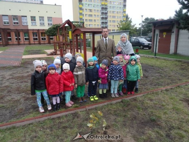 Święto Drzewa w Przedszkolu Miejskim nr 17 Kraina Misiów [ZDJĘCIA] - zdjęcie #18 - eOstroleka.pl