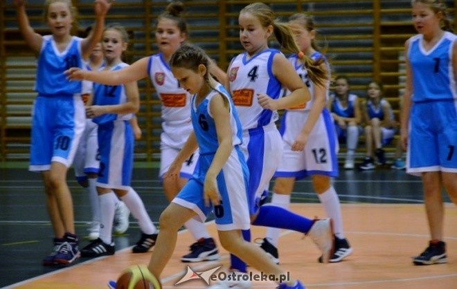 Nikko Sushi Basketball Cup 2016 [22.10.2016] - zdjęcie #35 - eOstroleka.pl