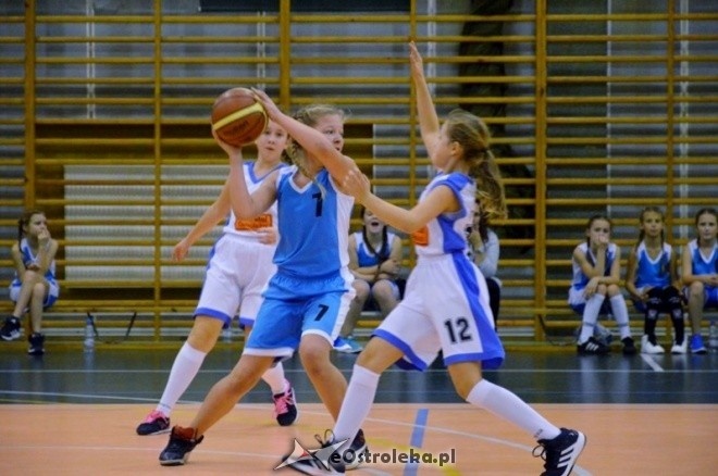 Nikko Sushi Basketball Cup 2016 [22.10.2016] - zdjęcie #6 - eOstroleka.pl
