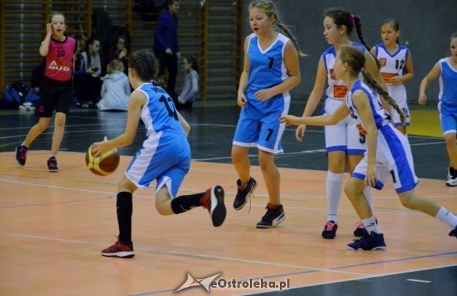 Nikko Sushi Basketball Cup 2016 [22.10.2016] - zdjęcie #4 - eOstroleka.pl