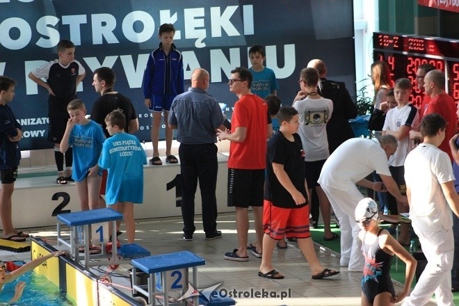 Otwarte Mistrzostwa Ostrołęki w Pływaniu [29.10.2016] - zdjęcie #24 - eOstroleka.pl