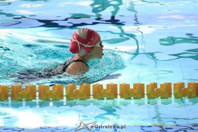 Otwarte Mistrzostwa Ostrołęki w Pływaniu [29.10.2016] - zdjęcie #31 - eOstroleka.pl