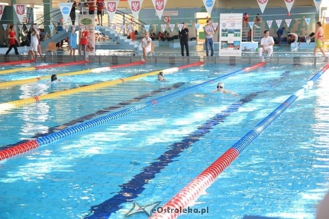 Otwarte Mistrzostwa Ostrołęki w Pływaniu [29.10.2016] - zdjęcie #79 - eOstroleka.pl