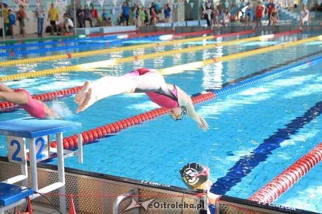 Otwarte Mistrzostwa Ostrołęki w Pływaniu [29.10.2016] - zdjęcie #90 - eOstroleka.pl