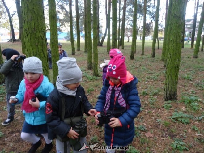 Przedszkolaki z Krainy Misiów „małymi ambasadorami przyrody” [ZDJĘCIA] - zdjęcie #5 - eOstroleka.pl