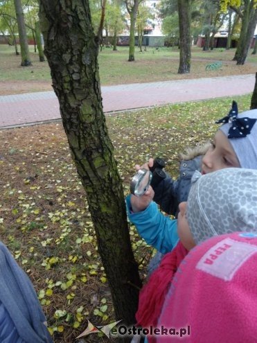 Przedszkolaki z Krainy Misiów „małymi ambasadorami przyrody” [ZDJĘCIA] - zdjęcie #8 - eOstroleka.pl