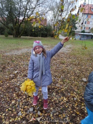 Przedszkolaki z Krainy Misiów „małymi ambasadorami przyrody” [ZDJĘCIA] - zdjęcie #15 - eOstroleka.pl