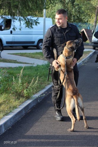 Jak pracują psy w policji? [04.11.2016] - zdjęcie #1 - eOstroleka.pl
