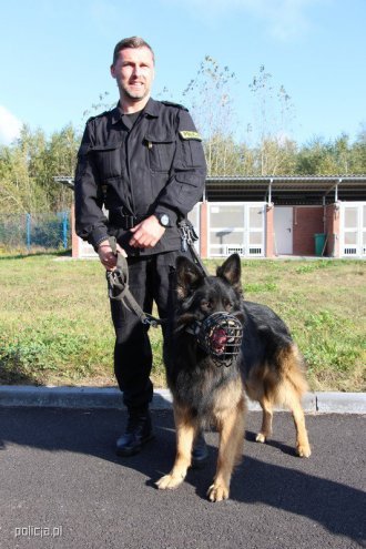 Jak pracują psy w policji? [04.11.2016] - zdjęcie #10 - eOstroleka.pl