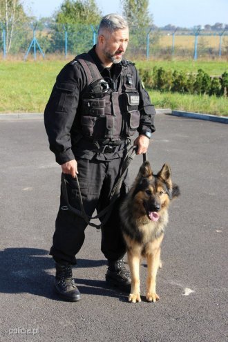 Jak pracują psy w policji? [04.11.2016] - zdjęcie #9 - eOstroleka.pl