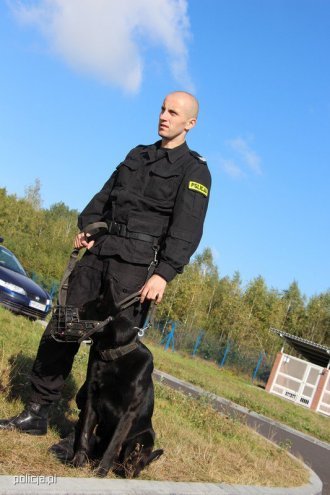 Jak pracują psy w policji? [04.11.2016] - zdjęcie #12 - eOstroleka.pl