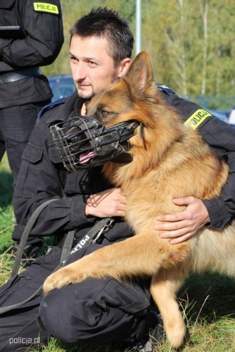 Jak pracują psy w policji? [04.11.2016] - zdjęcie #13 - eOstroleka.pl