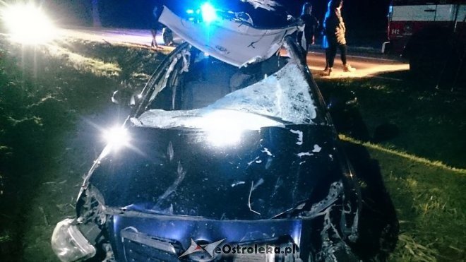 Zderzenie z łosiem w Malinowie. Młody kierowca w szpitalu [ZDJĘCIA] - zdjęcie #1 - eOstroleka.pl
