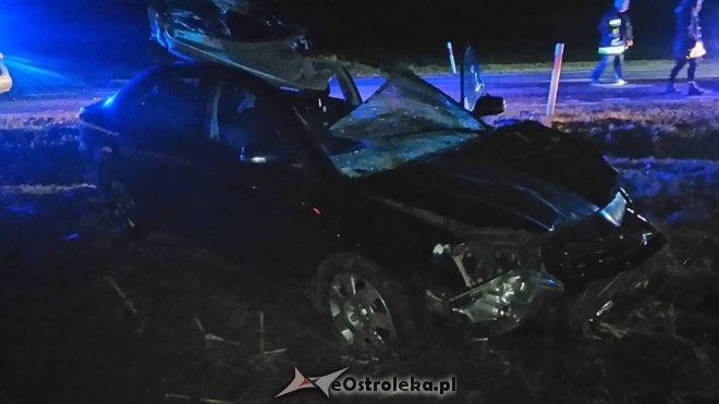 Zderzenie z łosiem w Malinowie. Młody kierowca w szpitalu [ZDJĘCIA] - zdjęcie #3 - eOstroleka.pl