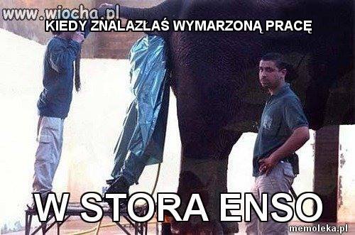 Memy o Ostrołęce i powiecie [07.11.2016] - zdjęcie #17 - eOstroleka.pl