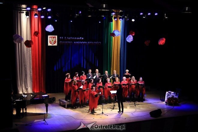 Wspólne śpiewanie pieśni patriotycznych z Ostrołęckim Chórem Kameralnym [WIDEO, ZDJĘCIA] - zdjęcie #24 - eOstroleka.pl