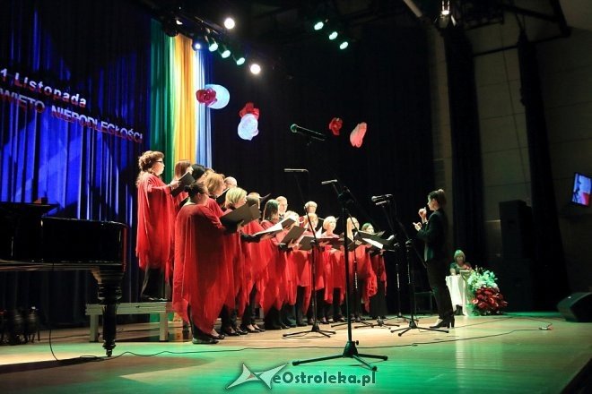 Wspólne śpiewanie pieśni patriotycznych z Ostrołęckim Chórem Kameralnym [WIDEO, ZDJĘCIA] - zdjęcie #58 - eOstroleka.pl