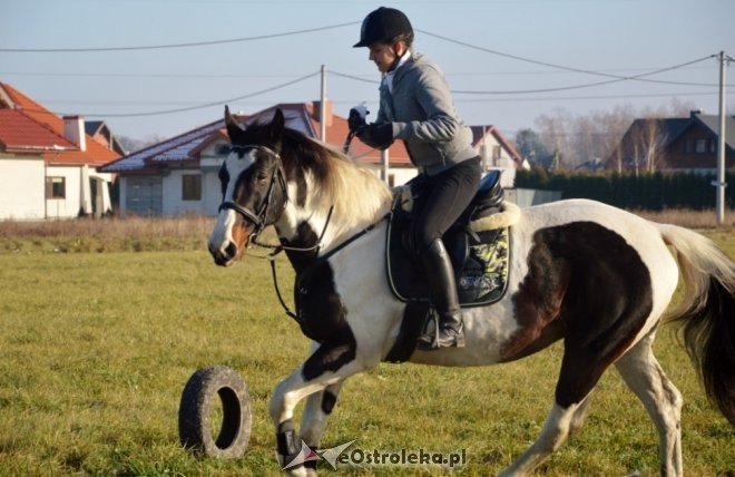 Bieg św. Huberta w Dzbeninie [12.11.2016] - zdjęcie #43 - eOstroleka.pl
