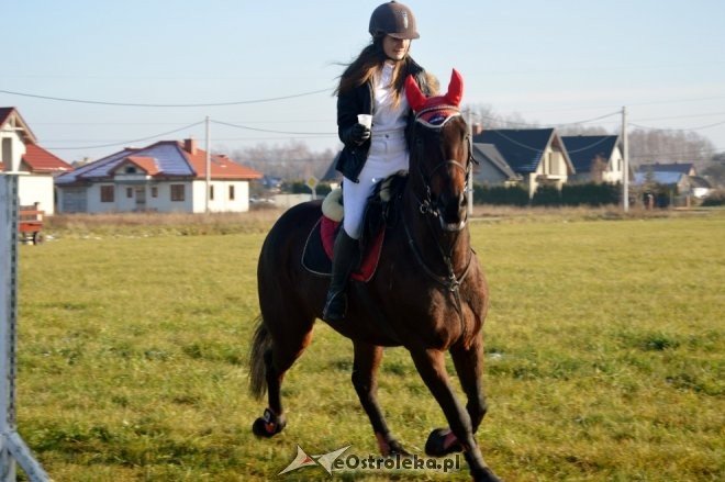 Bieg św. Huberta w Dzbeninie [12.11.2016] - zdjęcie #35 - eOstroleka.pl