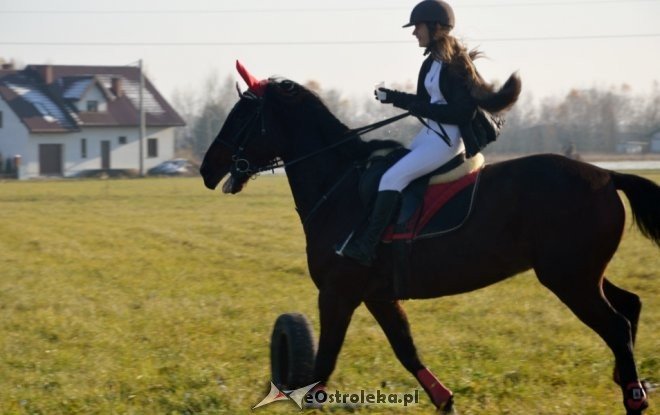 Bieg św. Huberta w Dzbeninie [12.11.2016] - zdjęcie #33 - eOstroleka.pl