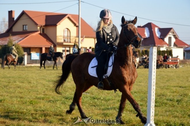 Bieg św. Huberta w Dzbeninie [12.11.2016] - zdjęcie #31 - eOstroleka.pl
