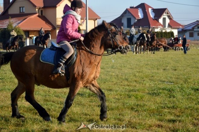 Bieg św. Huberta w Dzbeninie [12.11.2016] - zdjęcie #22 - eOstroleka.pl