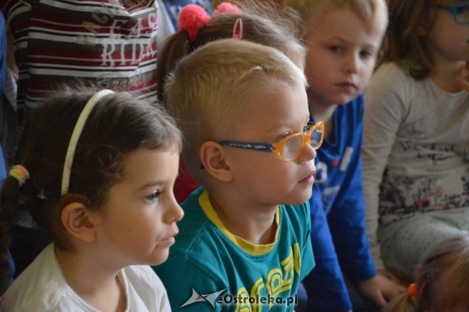 Wizyta Wiesławy Rykowskiej w Krainie Misiów [18.11.2016] - zdjęcie #20 - eOstroleka.pl